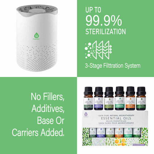 Air purifier with essential oils for pet odor control - front view