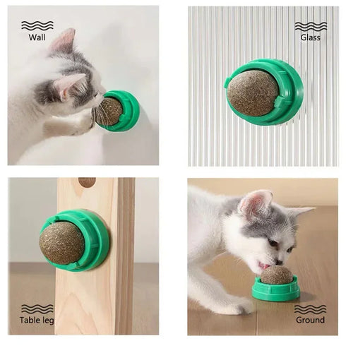 Catnip ball toy mounted on wall