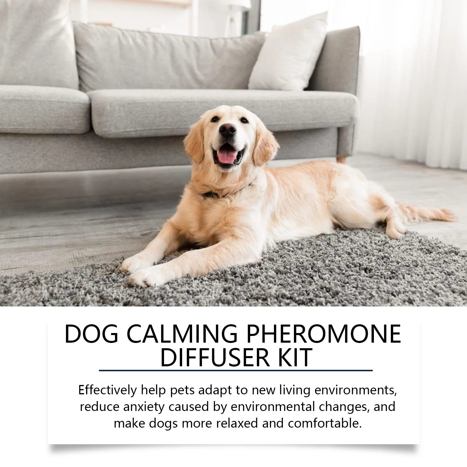 Pet pheromone diffuser color options