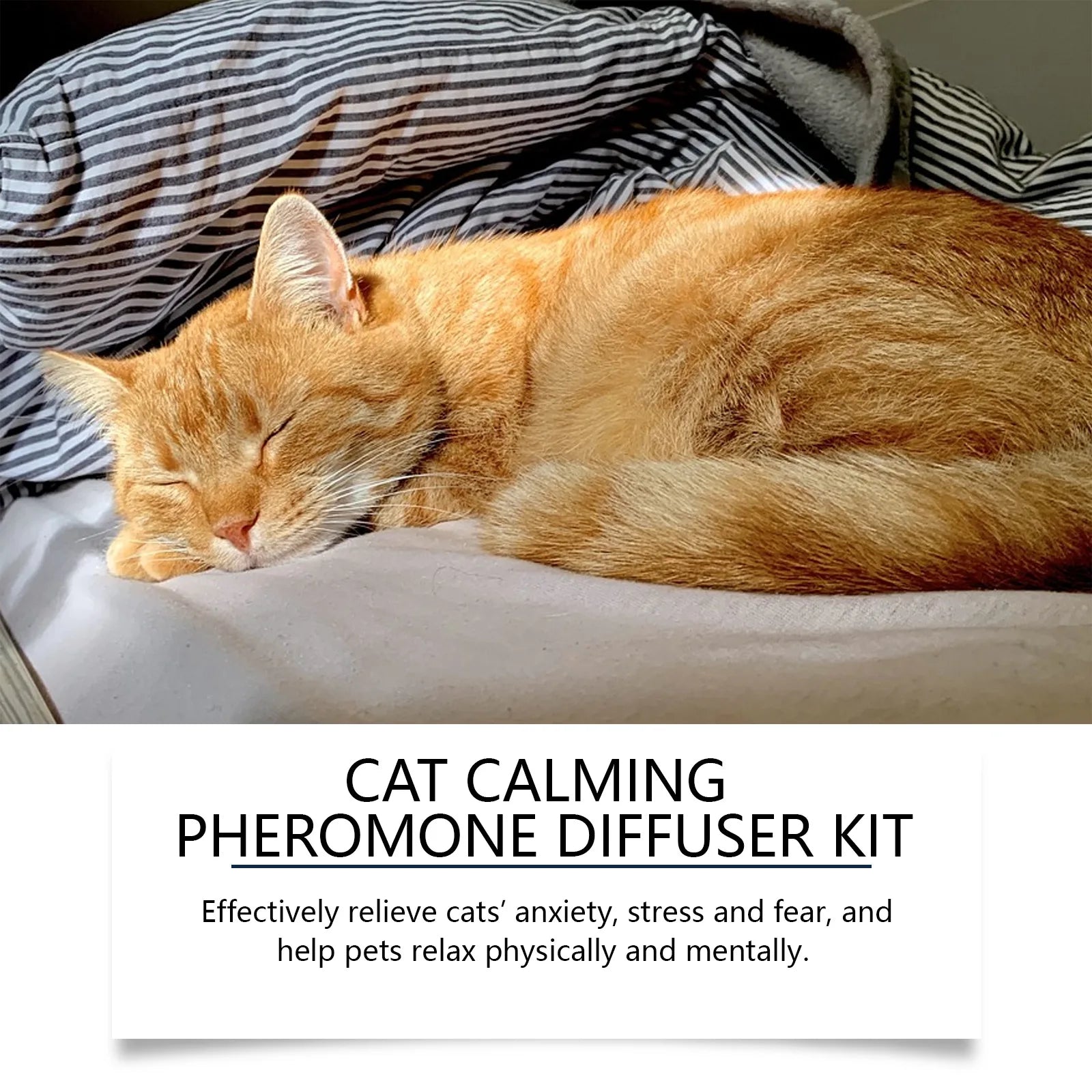Pet pheromone diffuser in use