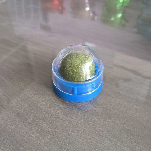 Catnip toy on floor mount