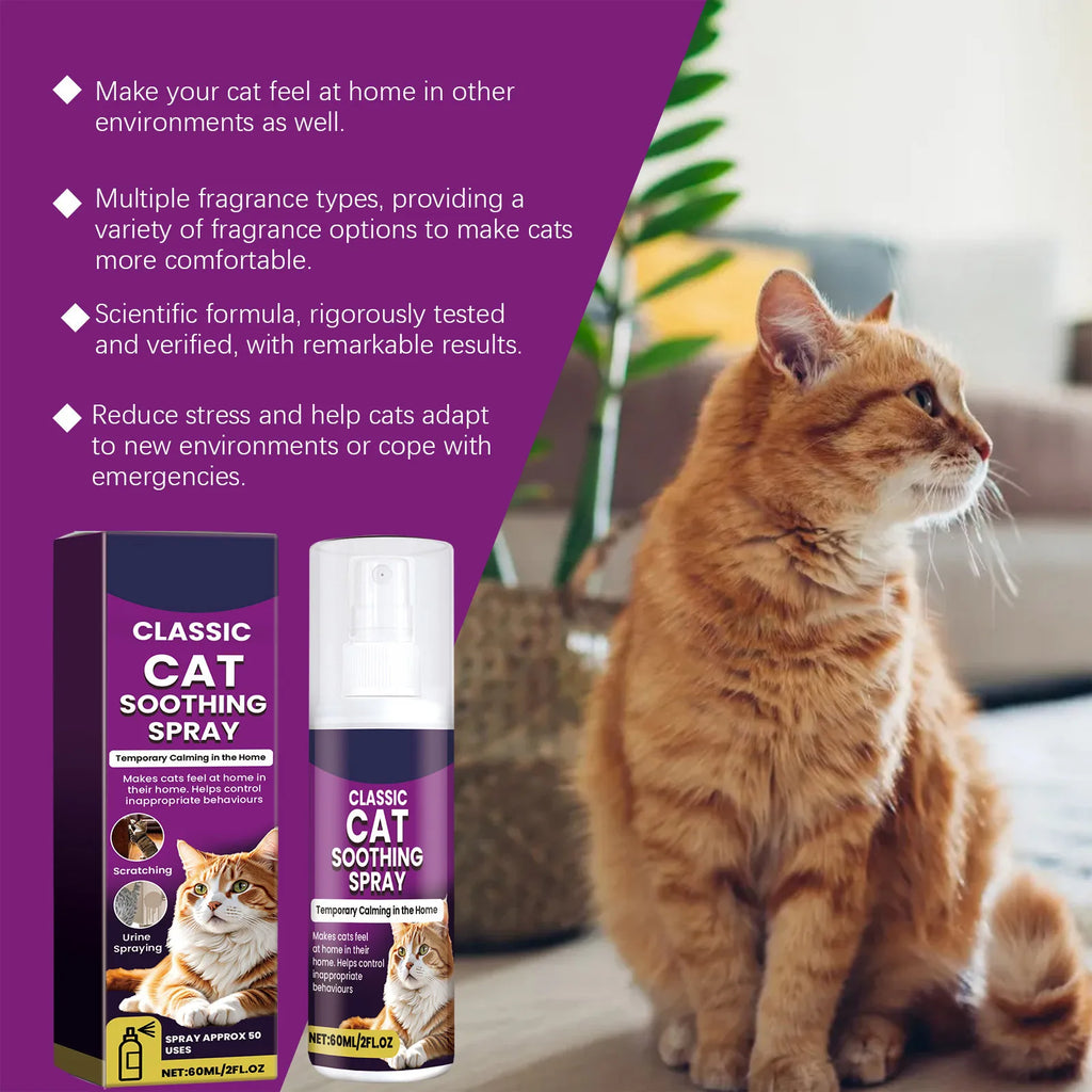 Pet calming spray applied to carrier