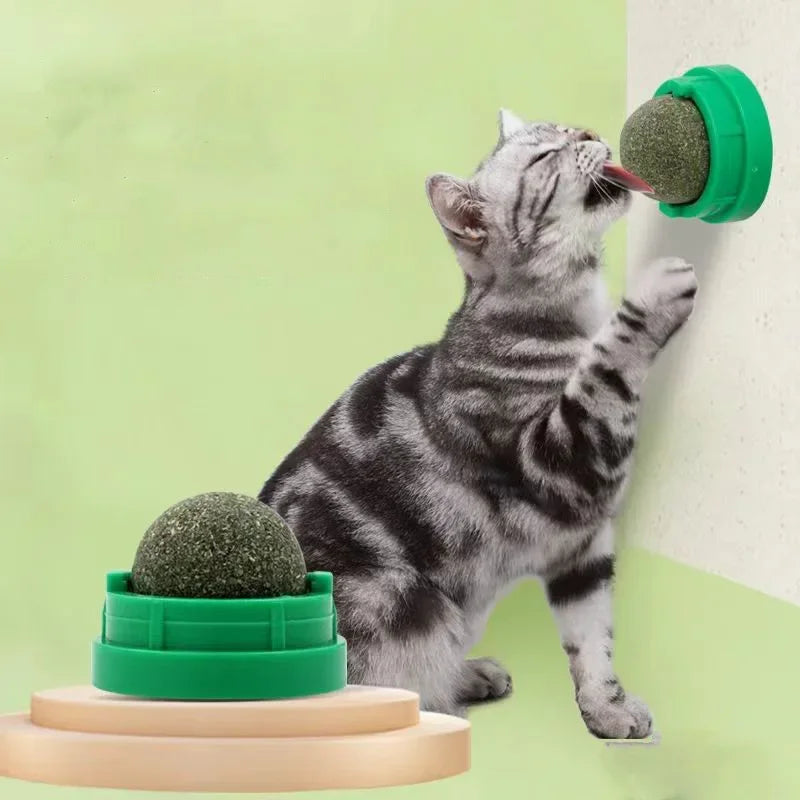 Catnip wall scratcher ball toy - front view